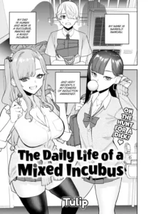 The Daily Life of a Mixed Incubus